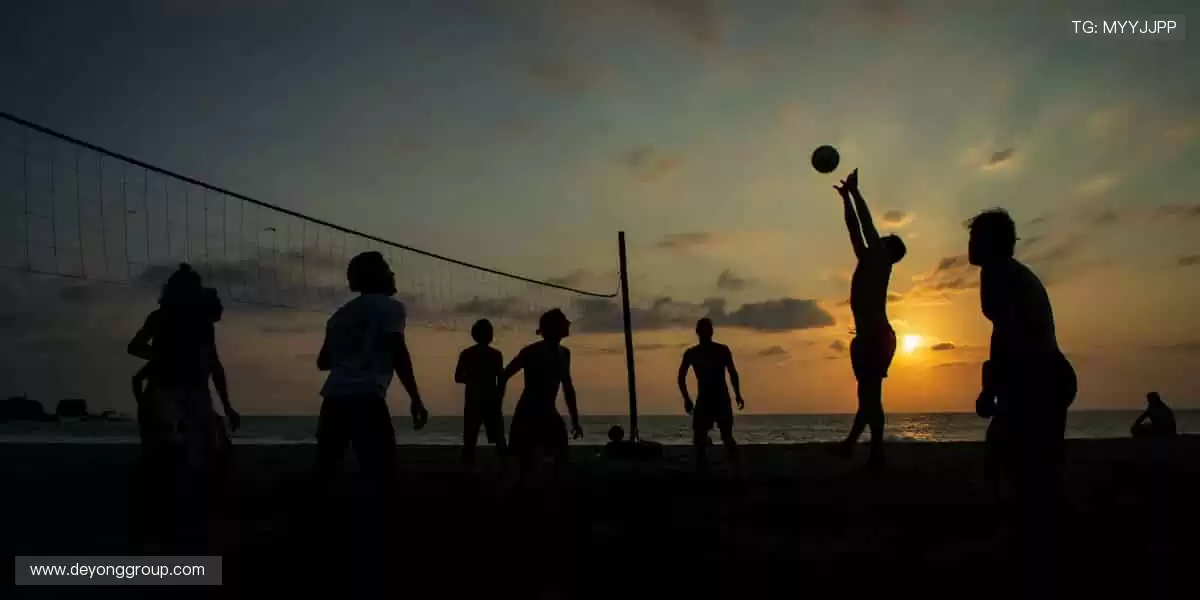 🎉 冠军之路，与你同在，